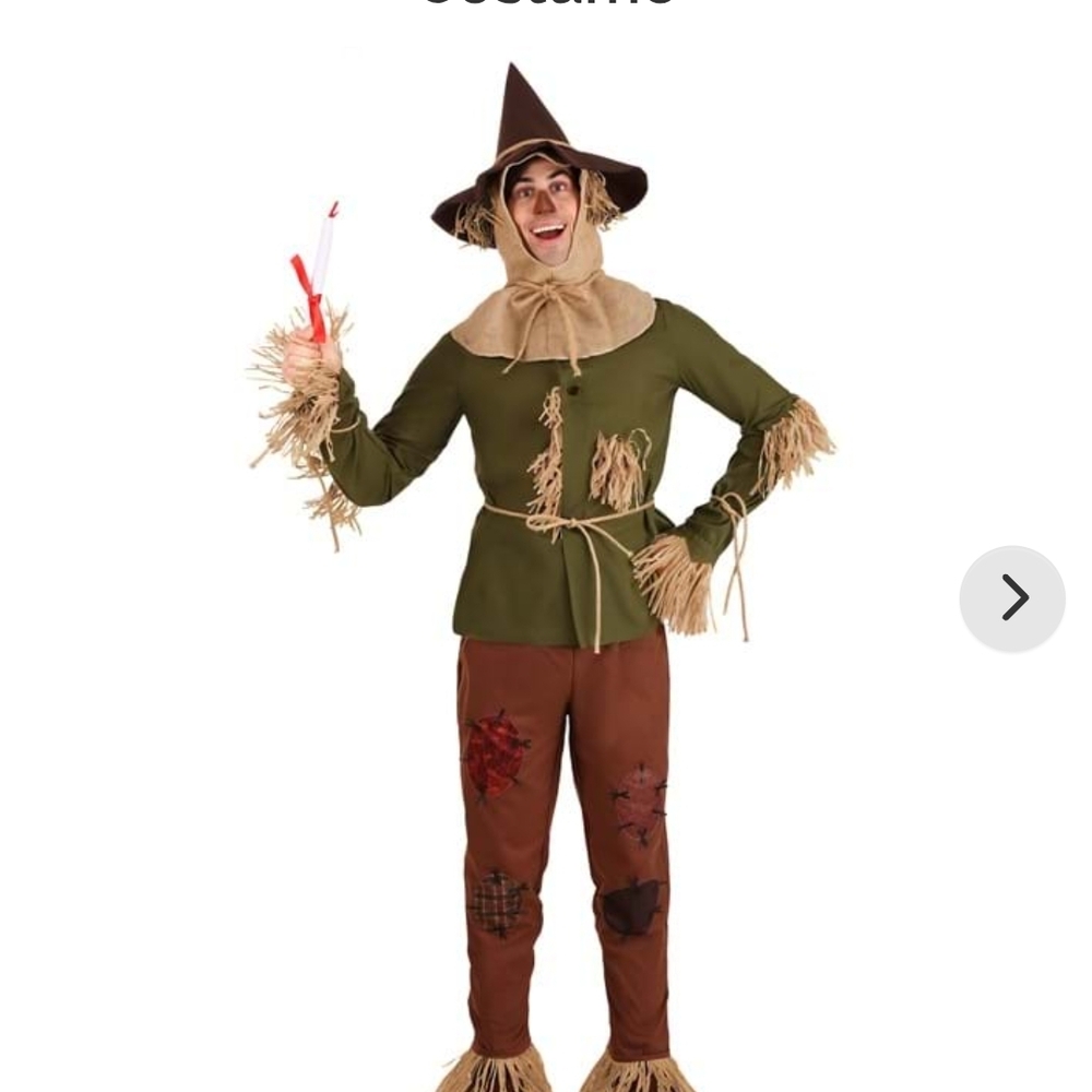 Mens Scarecrow Costume - Green and Brown